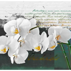 Begränsat erbjudande FOTOTAPET Orkidé Poet Inspiration 300x231 - Inredning & dekor