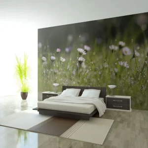 Begränsad tid Fototapet Prästkragar Med Morgondagg 300x231 - Inredning & dekor