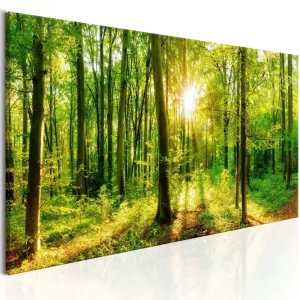 Tavla Green Magic 150x50 - Inredning & dekor Fynd