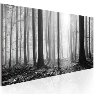 Tavla Black And White Forest 150X50 Grå Landskap - Inredning & dekor Erbjudandepris