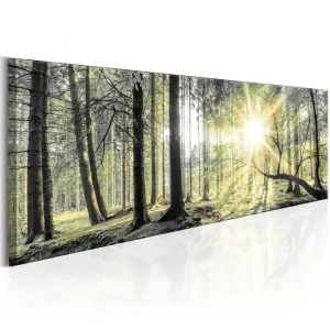 Tavla Morning Forest 150X50 Flerfärgad|Grön Landskap - Inredning & dekor Fynd