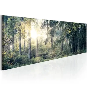 Tavla Morning Magic 150X50 Flerfärgad Landskap - Inredning & dekor Populärt val