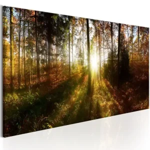 Tavla Beautiful Forest 150x50 - Inredning & dekor Snabb leverans