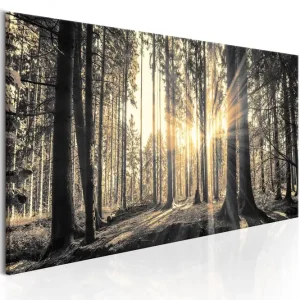 Tavla Forest Sun 150x50 - Inredning & dekor Begränsat antal