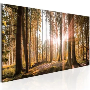 Tavla Small Natural Wonders 150x50 - Inredning & dekor risnedsättning