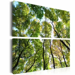 Tavla Treetops 40x40 - Inredning & dekor Rabatter