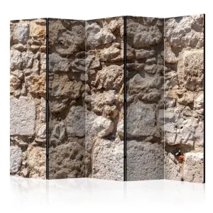 Utförsäljning Rumsavdelare - Stone Castle II 225x172 - Inredning & dekor
