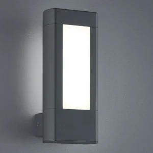 Rea Trio Lighting Rhine LED Vägglampa antracit Antracit/Vit - Belysning