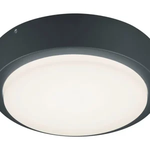 Premium Trio Lighting Breg LED Vägglampa antracit Antracit - Belysning