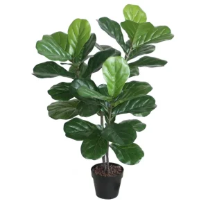Begränsat erbjudande Grön växt FIDDLE LEAF H100 2 grenar svart kruka - Inredning