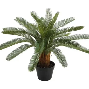 Grön växt CYCAS H70cm svart kruka - Inredning Nyhet