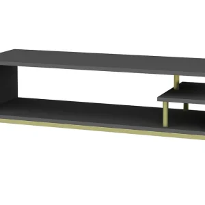 Säker betalning Andifli Tv-bänk 120x37,6 cm Guld - Möbler
