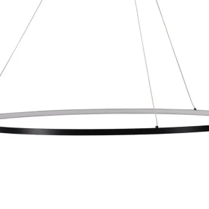 VIND Rödäng x Josefin Lustig Pendellampa 6 cm Svart - Belysning & el Beställ idag