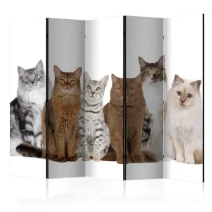 Sänkt pris Rumsavdelare Sweet Cats 225x172 Artgeist sp. z o. o. - Inredning