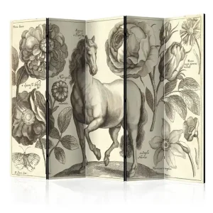 Rumsavdelare Horse 225x172 Artgeist sp. z o. o. - Inredning Endast idag