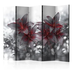 Rumsavdelare Shadow Of Passion 225x172 Artgeist sp. z o. o. - Inredning Erbjudande