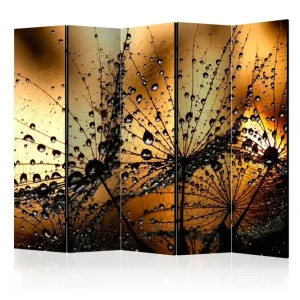 Rumsavdelare Dandelions In The Rain 225x172 Artgeist sp. z o. o. - Inredning Fri frakt