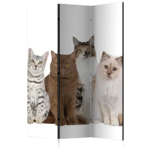 Rumsavdelare Sweet Cats 135x172 Artgeist sp. z o. o. - Inredning Nyhet