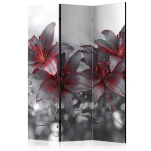 Beställ idag Rumsavdelare Shadow Of Passion 135x172 Artgeist sp. z o. o. - Inredning