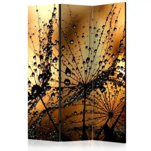 Erbjudandepris Rumsavdelare Dandelions In The Rain 135x172 Artgeist sp. z o. o. - Inredning