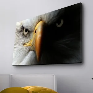 Canvastavla med LED-belysning - Närbild av en majestätisk örn med intensiva ögon Vit / Svart / Orange - Inredning Fynd