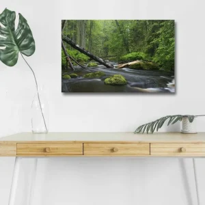Canvastavla med LED-belysning - Grönskande skog med en porlande bäck Grön / Brun / Svart - Inredning Extra rabatt