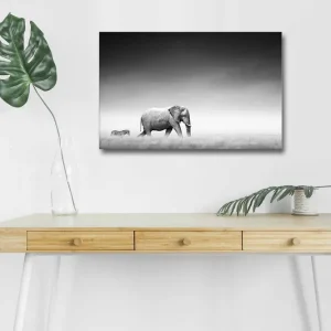 Canvastavla med LED-belysning - Svartvit bild av en elefant som går genom savannen med en zebra i bakgrunden Svart / Vitt / Grått - Inredning Rabatter