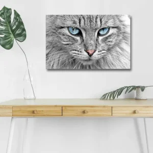 Canvastavla med LED-belysning - Närbild av en grå katt med blå ögon Grå / Blå / Rosa - Inredning Beställ idag