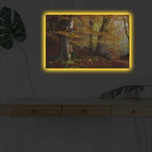 Canvastavla med LED-belysning - Höstlandskap med färgglada träd och löv Orange / Brun / Grön - Inredning Begränsad tid