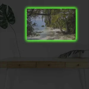 Fynd Canvastavla med LED-belysning - Tropisk strand med palmer och klart vatten Grön / Blå / Beige - Inredning