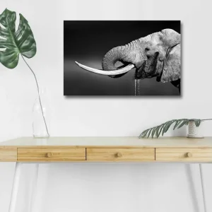 Canvastavla med LED-belysning - Svartvit elefant med hängande betar Svart / Grå - Inredning risnedsättning