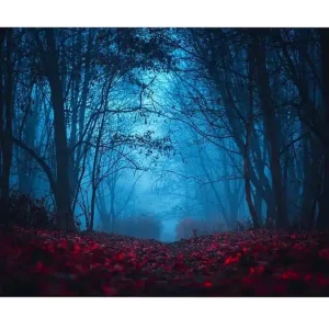 Kundfavorit Canvastavla - Dimig skog med rödaktiga löv i en mystisk atmosfär Mörkblå / Röd - Inredning