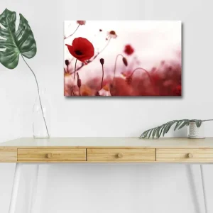 Canvastavla med LED-belysning - Röd vallmo i en mjukt suddig blomsteräng Röd / Rosa / Grön - Inredning Nedsatt pris