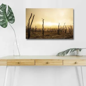 Lägg i varukorgen Canvastavla med LED-belysning - Karg landskap med döda trädstammar Mörkbrun / Beige / Grå - Inredning