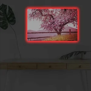 Beställ idag Canvastavla med LED-belysning - Blommande körsbärsträd i en idyllisk landskapsmiljö Rosa / Grön / Brun - Inredning