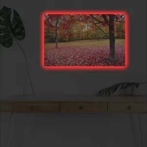 Säker betalning Canvastavla med LED-belysning - Höstlandskap med färgglada träd och löv på marken Röd / Orange / Gul - Inredning