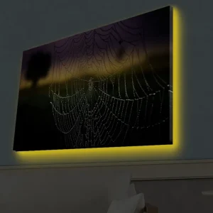 Canvastavla med LED-belysning - Spindelnät med daggdroppar i mjukt ljus Svart / Grå / Guld - Inredning Begränsat erbjudande
