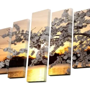 Canvastavla i 5 delar 82x50 cm - Vacker körsbärsblomma vid solnedgången Vit / Orange / Gul - Inredning Lågt pris