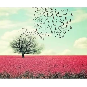 Expressleverans Canvastavla - Ensam trädkrona i en blomstrande fält av rosa blommor Rosa / Himmelsblå / Svart - Inredning