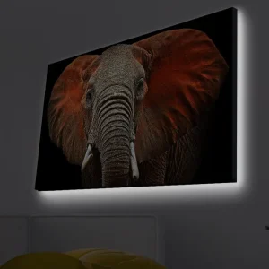 Populärt val Canvastavla med LED-belysning - Elefant med majestätiska öron i dämpade färger Grå / Röd / Svart - Inredning