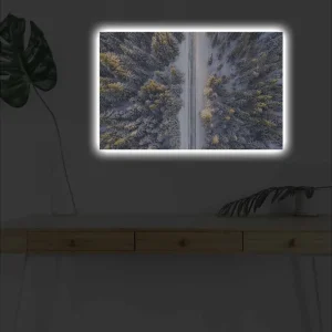Canvastavla med LED-belysning - Vinterlandskap med snötäckta träd och en väg som sträcker sig genom skogen Grå / Grön / Gul - Inredning Endast denna vecka