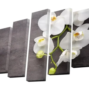 Säker betalning Canvastavla i 5 delar 82x50 cm - Vacker orkidé med vita blommor på en mörk bakgrund Vit / Grå / Grön - Inredning