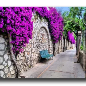 Erbjudandepris Canvastavla - Lummig gångväg omgiven av blommande bougainvillea Lila / Grå / Grön - Inredning