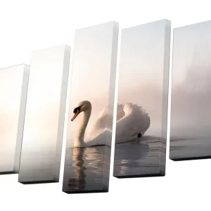Rea Canvastavla i 5 delar 82x50 cm - Elegant svan som glider fram på spegelblanka vattenytor Vit / Ljusgrå / Beige - Inredning