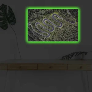 Billig Canvastavla med LED-belysning - Vacker vy av en slingrande väg genom tät grönskande skog Grön / Grå / Svart - Inredning