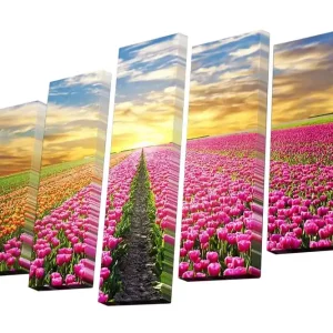 Kampanjpris Canvastavla i 5 delar 82x50 cm - Färgglad tulpanfält under en solnedgång Rosa / Orange / Grön - Inredning