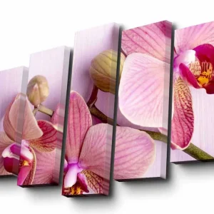 Fynd Canvastavla i 5 delar 82x50 cm - Ljuvlig orkidé i rosa nyanser Rosa / Lila / Grön - Inredning