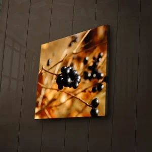 Canvastavla med LED-belysning 28x28 cm - Svart bärklase på en gyllene bakgrund Svart / Guldbrun - Inredning Utförsäljning