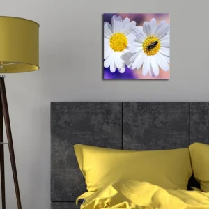 Canvastavla med LED-belysning 28x28 cm - Två vita prästkragar med gula mittar Vitt / Gult / Lila - Inredning Köp online