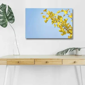 Fynd Canvastavla med LED-belysning - Ginkgo-blad mot en klar blå himmel Gul / Blå - Inredning